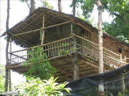 treehouse1